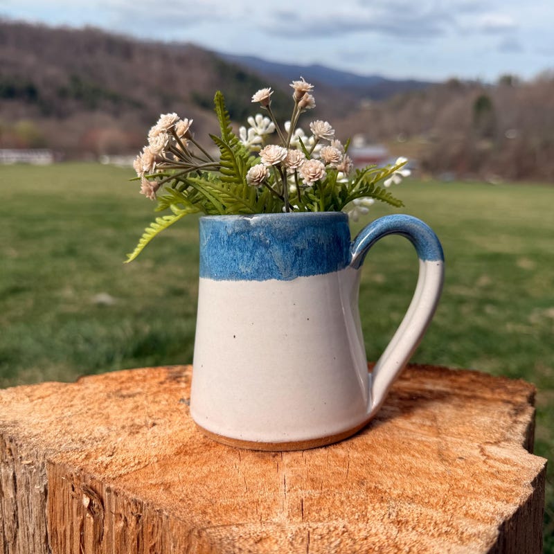 A small blue and white cream pitcher holding dried flowers, set on a tree stump with the North Carolina mountains behind it.