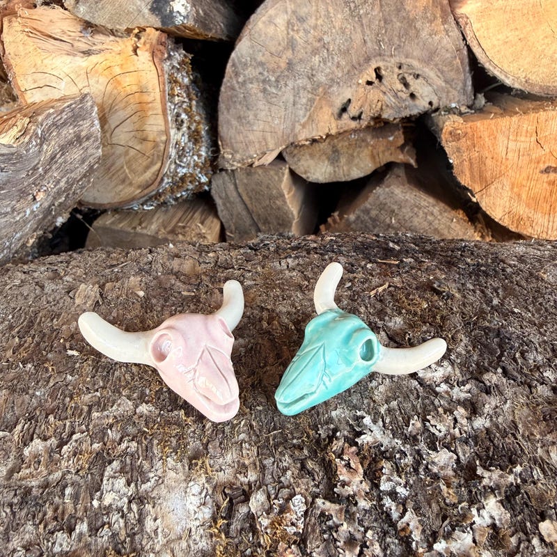 Two miniature longhorn skulls, one pink and one turquoise, resting on a log in front of a woodpile.